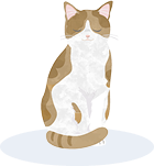 猫のイラスト