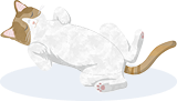 猫のイラスト