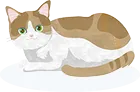 猫のイラスト