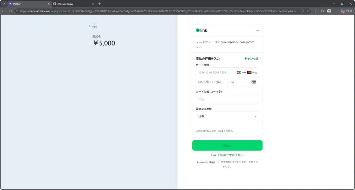 支払い情報の入力画面