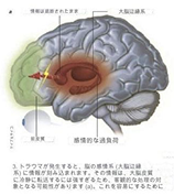 EMDR